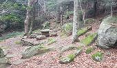 Excursión Senderismo L'Albère - st Martin alberes - pic Neouliys - col ouillat  - Photo 3