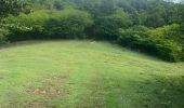 Trail Trail Sainte-Anne - Modette  - Photo 1