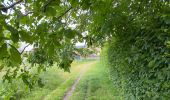 Trail Walking Merchtem - Brussegem nord 7,3 km - Photo 2