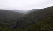 Trail Walking Blandas - Bois de calot rouge - Photo 1