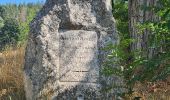 Trail Walking Rombach-le-Franc - Col de Schlingoutte - Photo 16