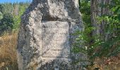 Randonnée Marche Rombach-le-Franc - Col de Schlingoutte - Photo 16