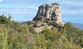 Excursión  Plan-d'Aups-Sainte-Baume - Chauvin - Photo 6