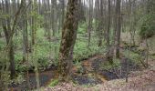 Percorso A piedi Januszno - Dąbrowa nad Zagożdżonką - Photo 9