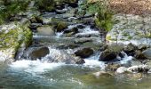 Tour Wandern Saint-Jean-d'Arvey - Remontée de la Leysse-2021-04-22 - Photo 6