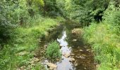 Trail Walking Verfeuil - Verfeuil  - Photo 1