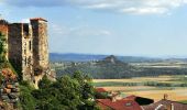 Trail Walking Le Broc - Le_Broc_Coteaux_Chaux - Photo 1