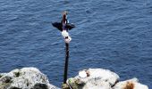 Tocht Stappen O Pino - 13.05.18 O Pedrouzo--Santiago de Compostella - Photo 2