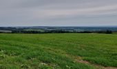 Percorso Marcia Beauraing - Honnay 140921 - Photo 3