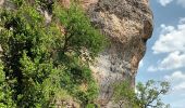 Tour Wandern Mostuéjouls - Liaucous-village troglodyte-18-05-22 - Photo 8