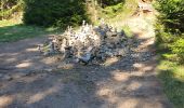 Trail Walking Orbey - lac blanc, gazon du faing, lac noir, rocher Hans, lac blanc  - Photo 11