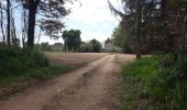 Trail Walking Brech - PR_56_Brech_BA_02_Les-2-Moulins_Circuit4a_20210502 - Photo 3