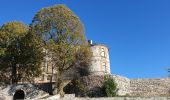 Randonnée Marche Pignols - château La Chaux Montgros_T - Photo 4