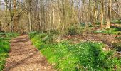 Trail Walking Manage - Balade dans le Bois de Scailmont - Manage - Photo 7