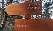 Trail Walking Tournefort - tournefort  - Photo 4