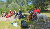 Tour Wandern La Valette-du-Var - Le Revest - Tourris - Confinement 04 2021 - Photo 9