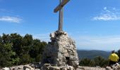 Tour Wandern Belgentier - Barre de Cuers depuis Belgentier - Photo 9