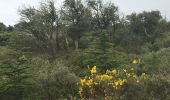 Tour Wandern Fleury - Fleury - La Négly - Photo 3