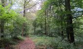 Trail Walking Esneux - mon E d'Esneux - Photo 14