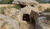 Tocht Stappen Pouzols - Dolmen du Pouget  - Photo 5