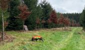 Tour Wandern Léglise - Bombois - Photo 1