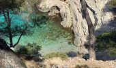 Trail Walking Marseille - Les calanques de Cassis . Sugiton Morgiou.Sormiou - Photo 19