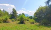 Randonnée Marche Puy-Saint-Eusèbe - canal de reyssas jusqu'aux Touisses / retour par le GR Serre-Ponçon via ravin de la pisse  - Photo 11