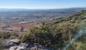 Trail Walking Aniane - grotte des reliques, montcalmes - Photo 17