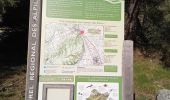 Trail Walking Orgon - Orgon Et ses alentours - Photo 4