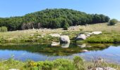 Tocht Stappen Pont de Montvert - Sud Mont Lozère - Masmejean Pont du Tarn - Photo 3