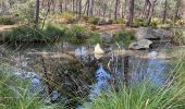 Tour Wandern Fontainebleau - Croix de Toulouse  - Photo 4