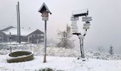 Percorso A piedi Abertamy - Plešivecká NS - Photo 5