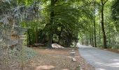 Trail Walking Enghien - Enghien parc 14,5 km - Photo 9