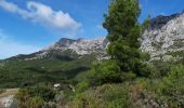 Tocht Stappen Puyloubier - La Ste Victoire-pic des mouches-07-10-20 - Photo 1