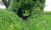 Trail Walking Perche en Nocé - Préaux-du-Perche Nord - Photo 20