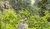 Trail Walking Aiguines - Grand Marges Gorges Verdon réel - Photo 1