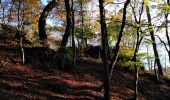 Randonnée Marche Spa - musée du l'avoir		+ bois de Spa + étang de Chawion - Photo 7