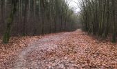 Tocht Stappen Maaseik - Wandelen in de Duinengordel - Photo 8