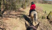 Tocht Paardrijden Léglise - Légalise via Rancimont - Photo 4