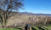 Tocht Stappen Mittelwihr - Les perles du vignoble  : Mittelwihr - Beblenheim - Zellenberg - Hunawihr - Riquewihr. - Photo 11