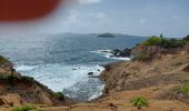 Tour Wandern La Trinité - cosmy- anse Richer-anse Lahoussaye-Etoile- anse Azerot-Cosmy - Photo 10