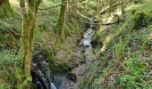 Tour Wandern Peyrignac - boucle de la nuelle  - Photo 13