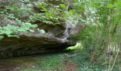 Trail Walking Les Eyzies - Sireuil Colmar que - Photo 2