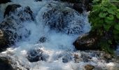 Tocht Stappen Chamonix-Mont-Blanc - Cascade du Dard Glacier du Bosson - Photo 4