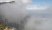 Randonnée Marche nordique Lans-en-Vercors - La Moucherotte - Photo 16