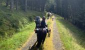 Trail Horseback riding Ban-de-Laveline - Ban de Laveline- Fraize - Photo 6