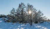 Tour Zu Fuß Unbekannt - Wanderweg 5 - Photo 1