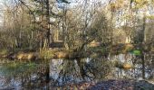 Percorso Marcia Fontainebleau - Boucle bourron Marlotte Mare aux fée - Photo 6