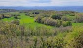 Trail Walking Saint-Pierre-d'Alvey - Mont Tournier pierre vire-28-04-23 - Photo 2