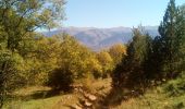 Tour Wandern Enveitg - Balade au dessus de Latour de Carol - Photo 6